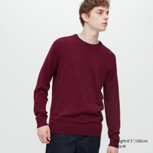Suéteres Uniqlo Extra Fine Merino Crew Neck Hombre Burdeos | 6493248