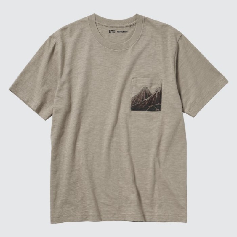 Camiseta Uniqlo Hokusai UT Short Sleeve Mujer Beige | 4464343