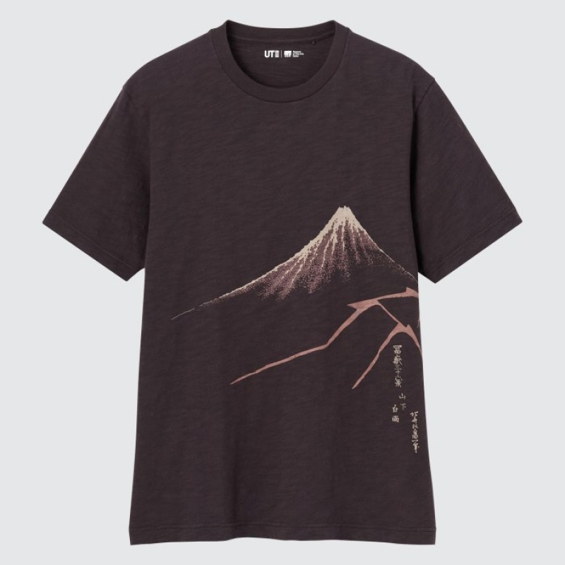Camiseta Uniqlo Ukiyo-e UT Short-Sleeve Mujer Marrones | 3551427