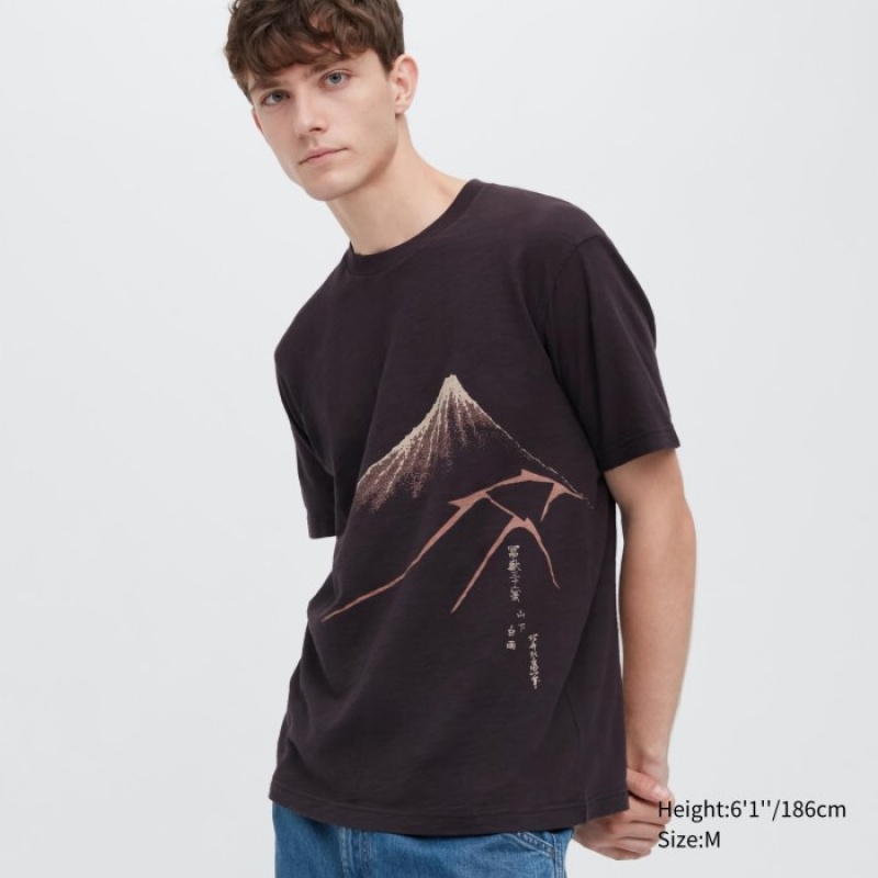 Camiseta Uniqlo Ukiyo-e UT Short-Sleeve Mujer Marrones | 3551427