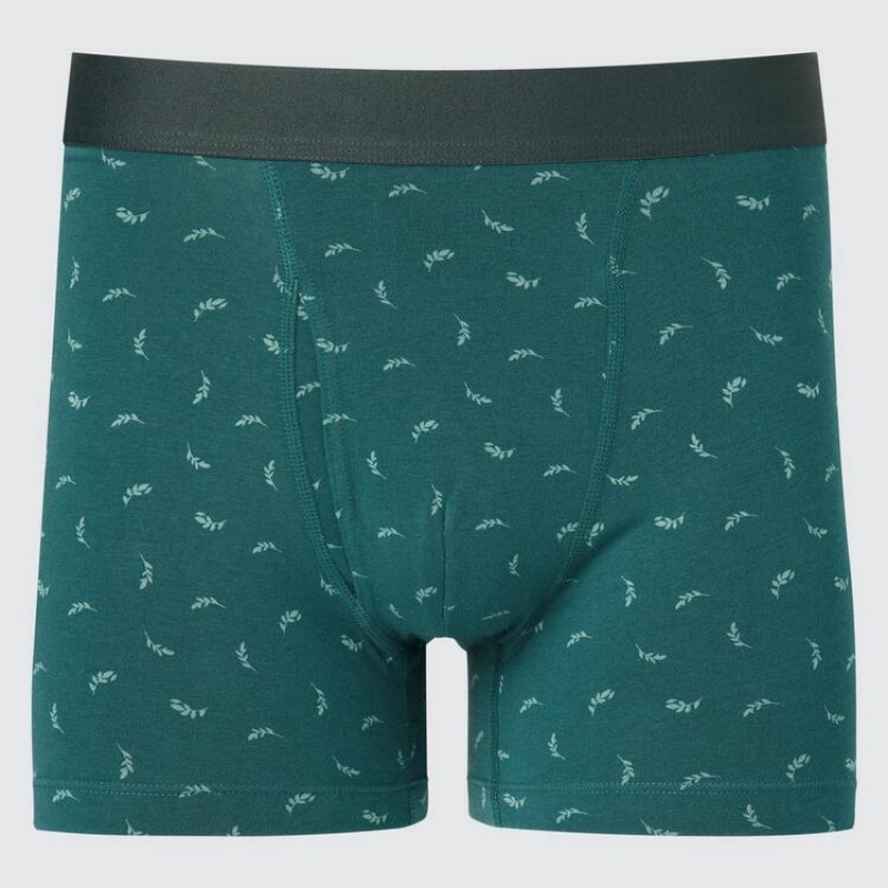 Ropa Interior Uniqlo Cotton Printed Boxer Hombre Verde | 639725